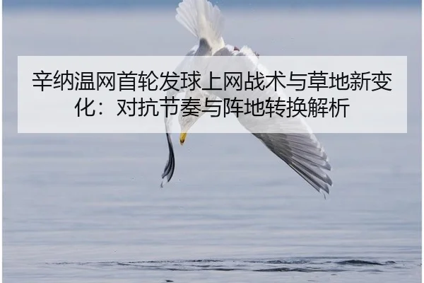 辛纳温网首轮发球上网战术与草地新变化：对抗节奏与阵地转换解析